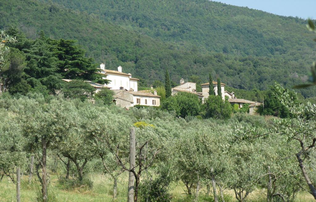 Della Genga Resort Arezzola Zimmer foto